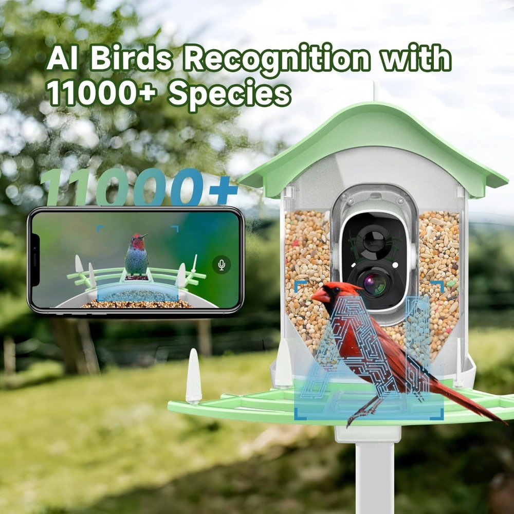 Smart Bird Feeder Camera - Comedero inteligente para pájaros con energía