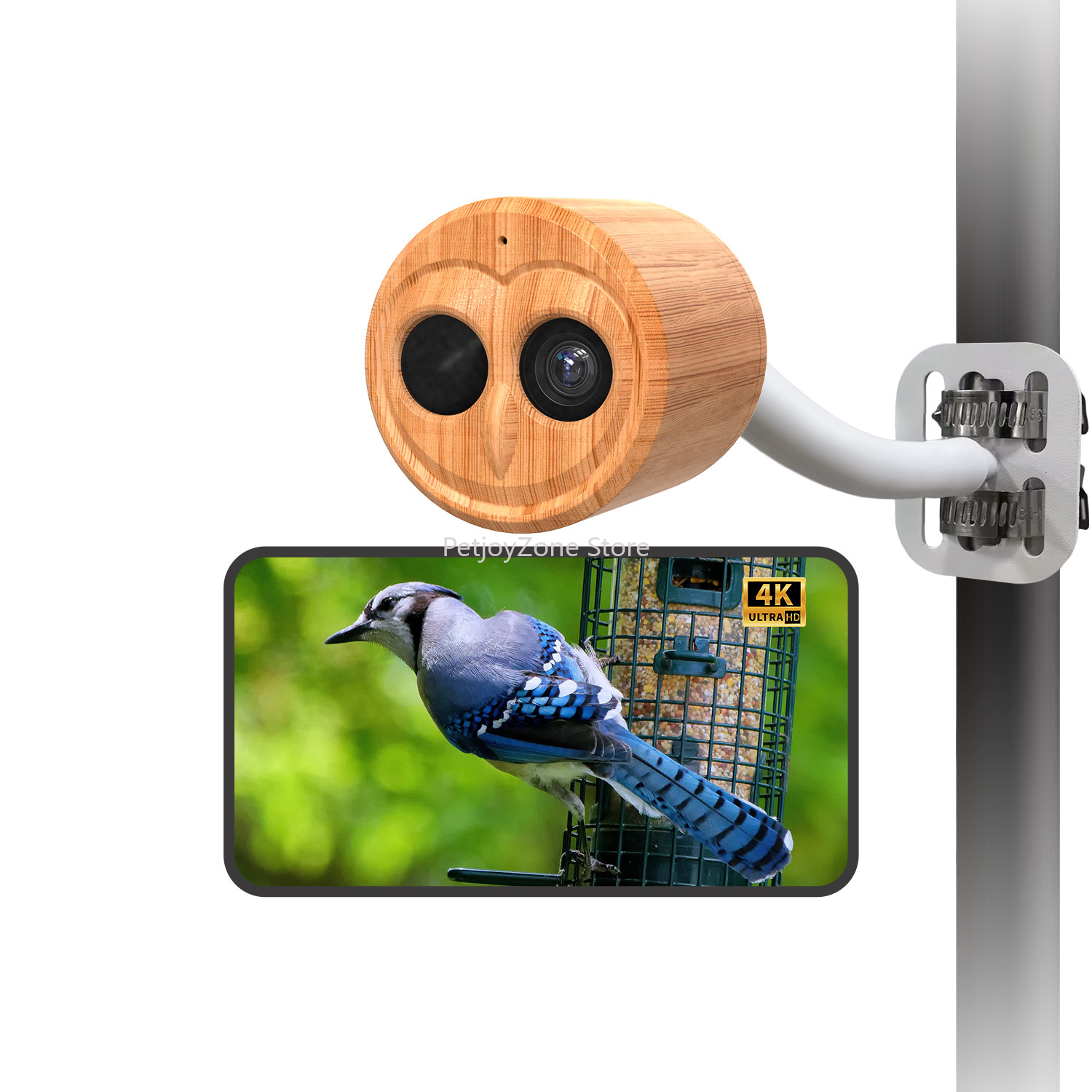 Smart Bird Feeder Camera - Comedero Automático para Pájaros WILLFINE con