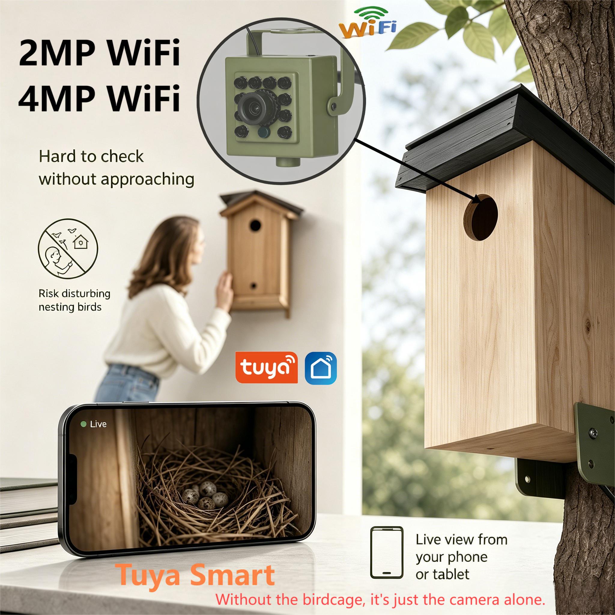 Smart Bird Feeder Camera - Cámara WiFi HD Inteligente Tuya Smart