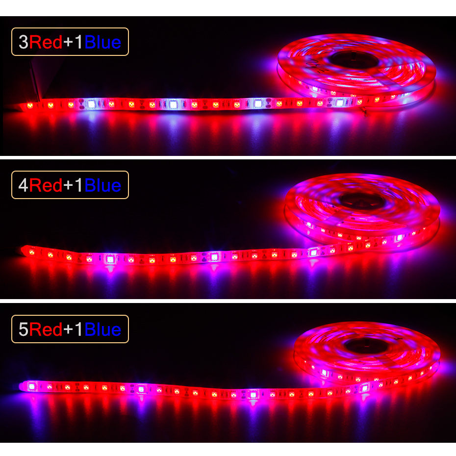 Led Plant Light Strip - Tira de luces LED de 12V