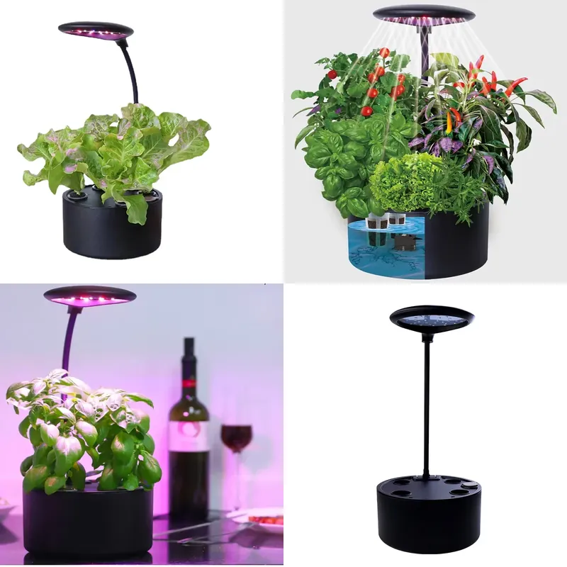 Smart Garden Box - Sistema de Cultivo Hidropónico Inteligente para