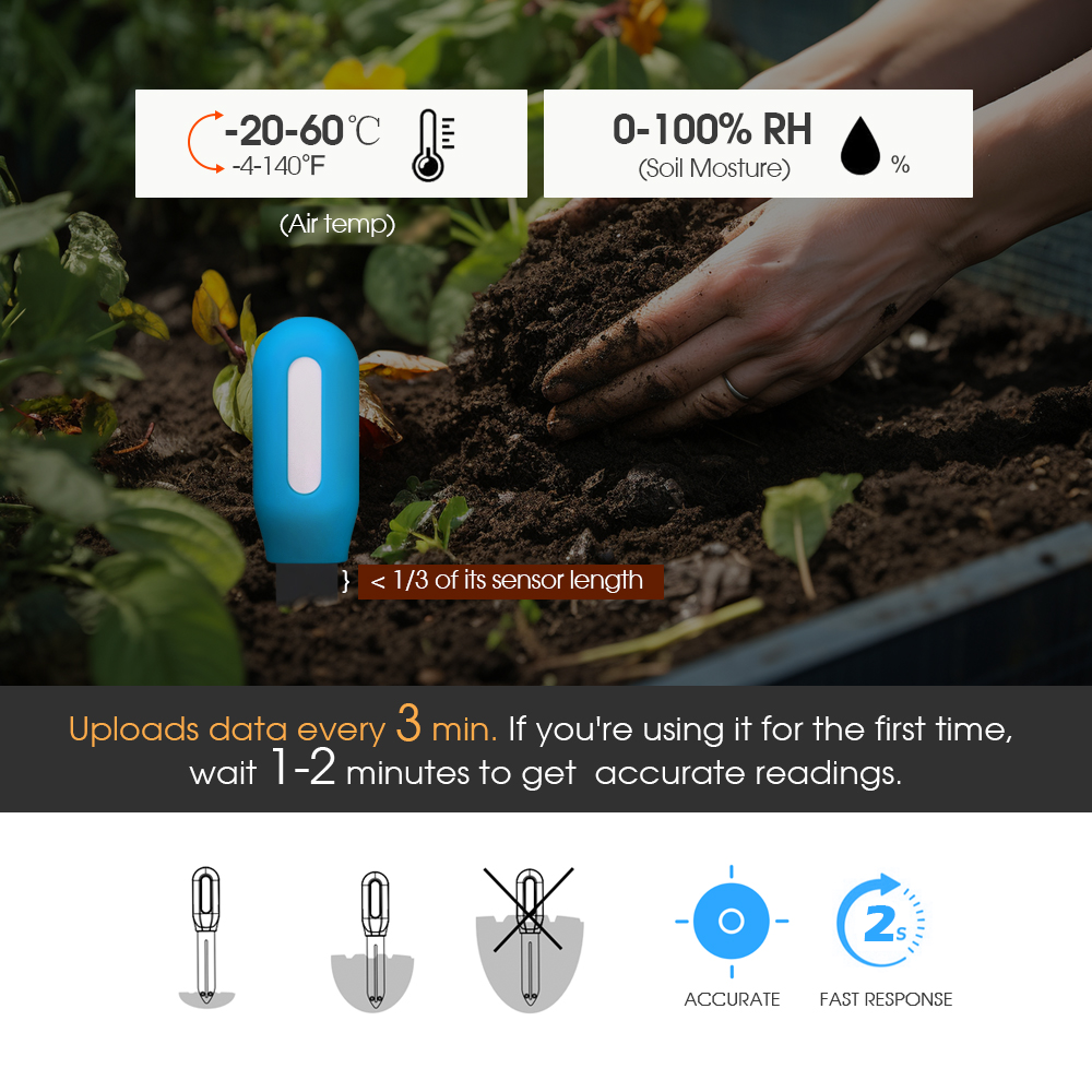 Sensor inteligente de suelo Zi - Smart Garden In Home reseña y precio