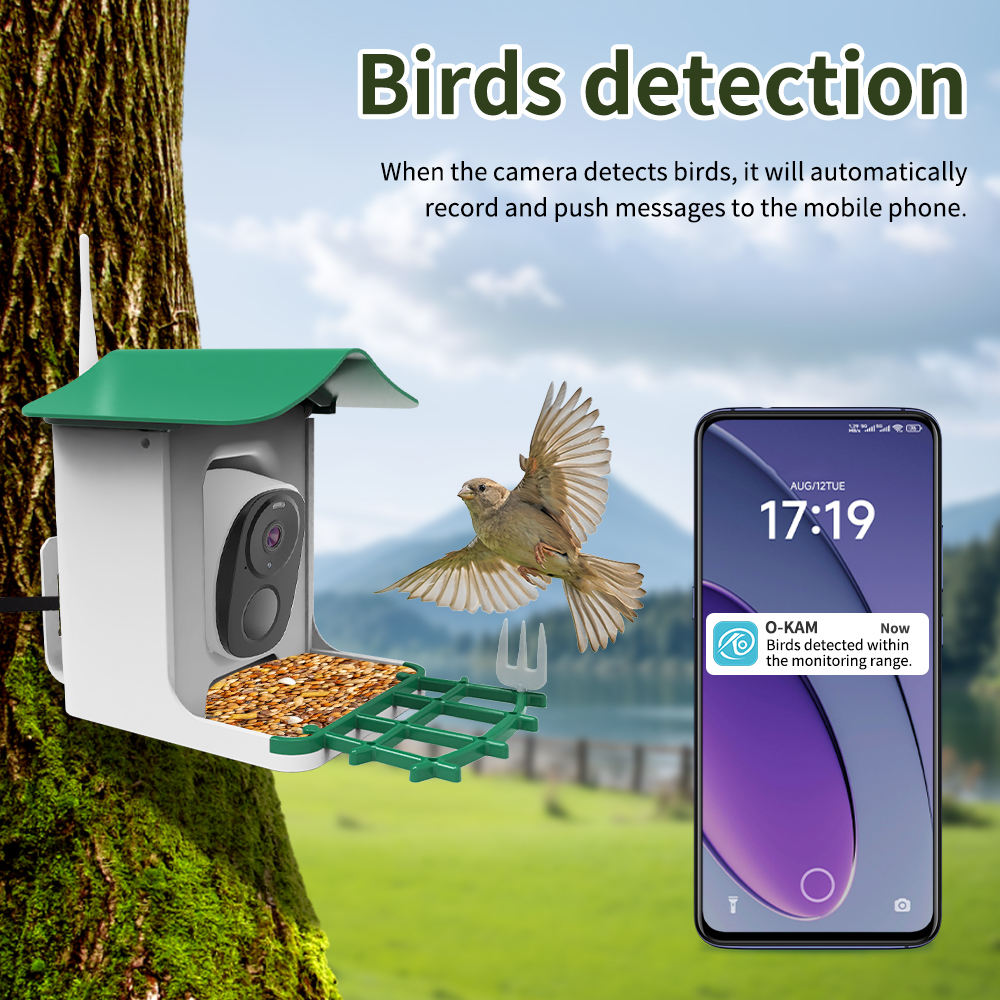 Cámara Inteligente para Comede - Smart Bird Feeder Camera reseña y precio