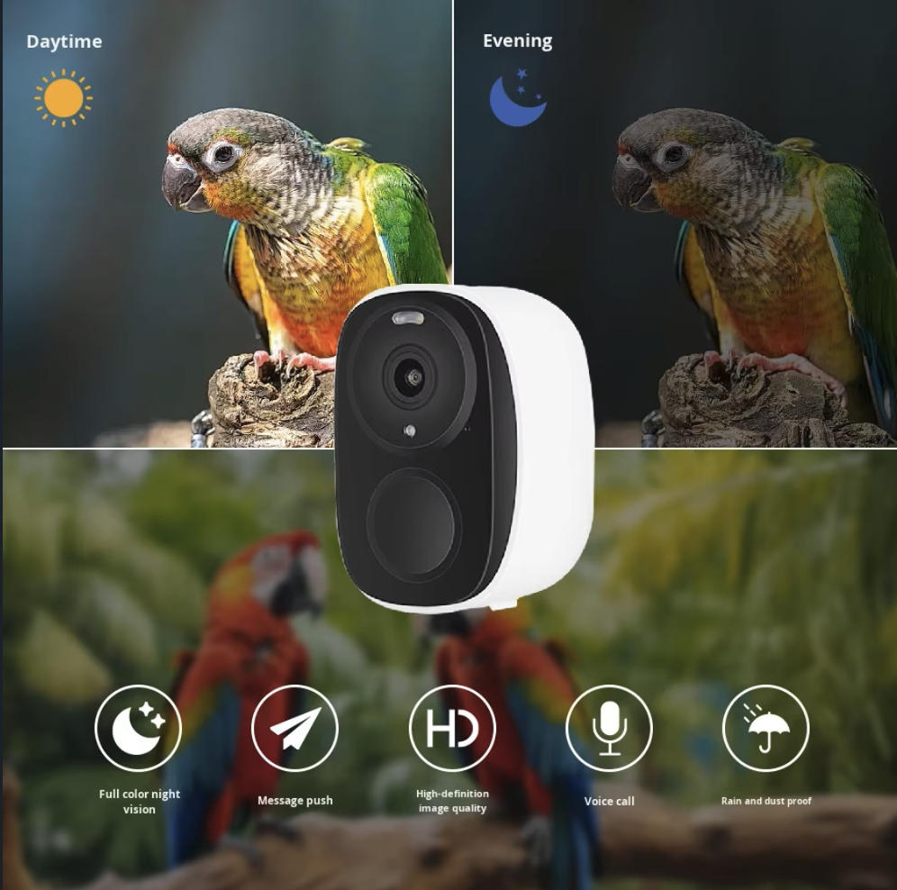Cámara Inteligente para Comede - Smart Bird Feeder Camera reseña y precio
