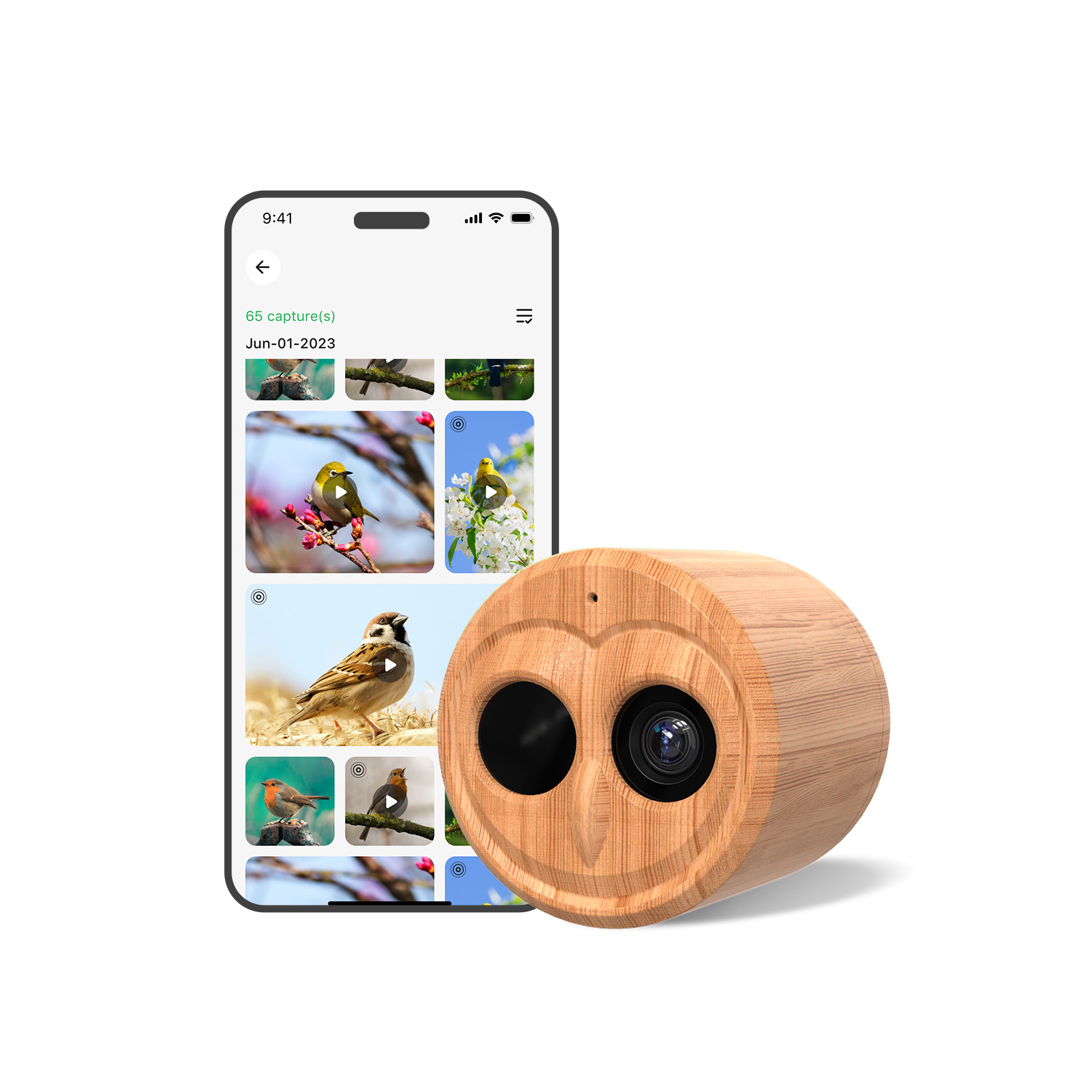 Comedero Inteligente para Pája - Smart Bird Feeder Camera reseña y precio