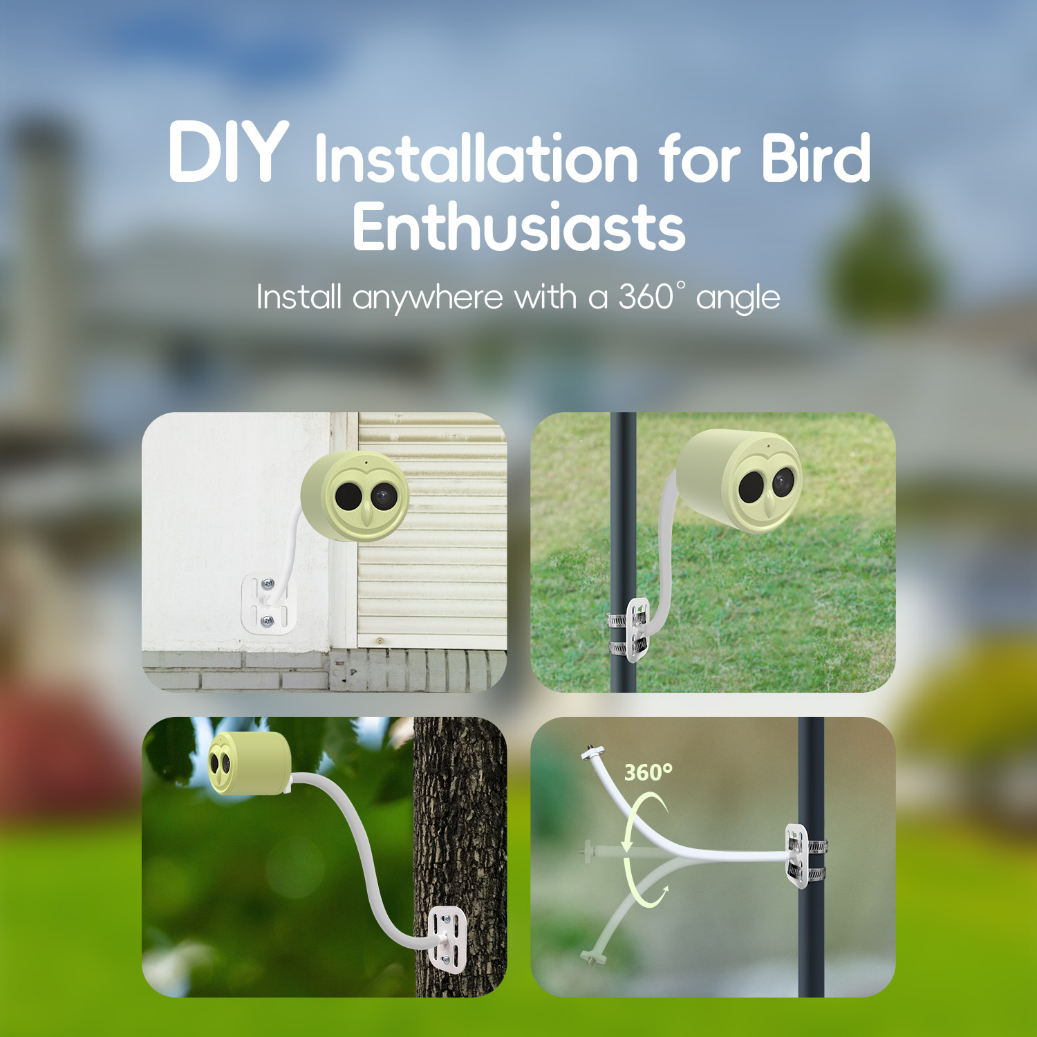 Comedero Automático para Pájar - Smart Bird Feeder Camera reseña y precio