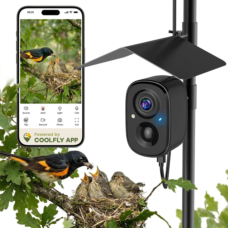 Cámara Inteligente para Pájaro - Smart Bird Feeder Camera reseña y precio