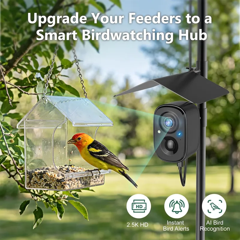 Cámara Inteligente para Pájaro - Smart Bird Feeder Camera reseña y precio