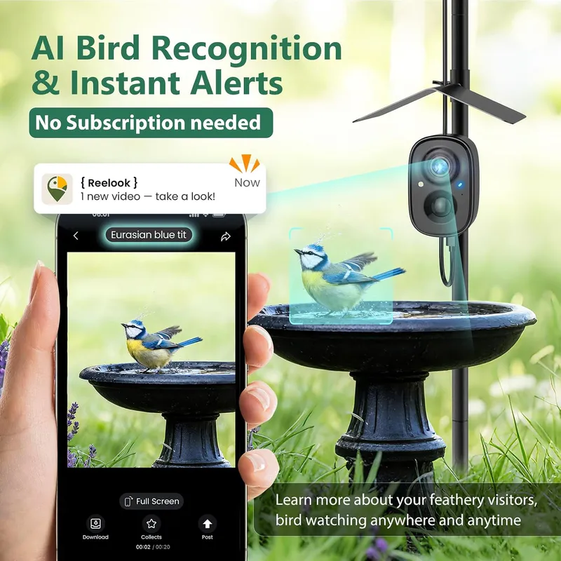 Cámara Inteligente para Pájaro - Smart Bird Feeder Camera reseña y precio
