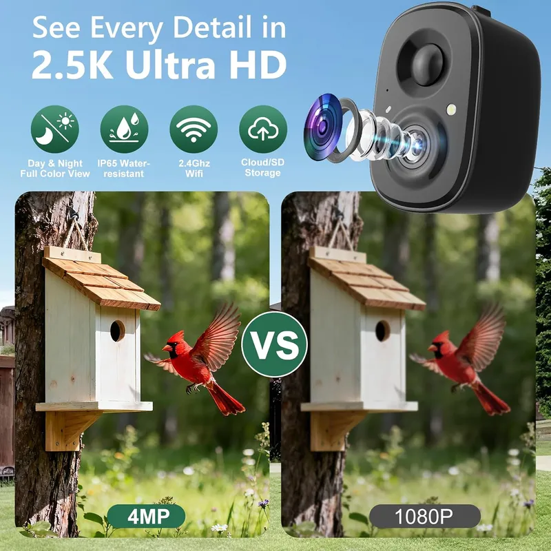 Cámara Inteligente para Pájaro - Smart Bird Feeder Camera reseña y precio