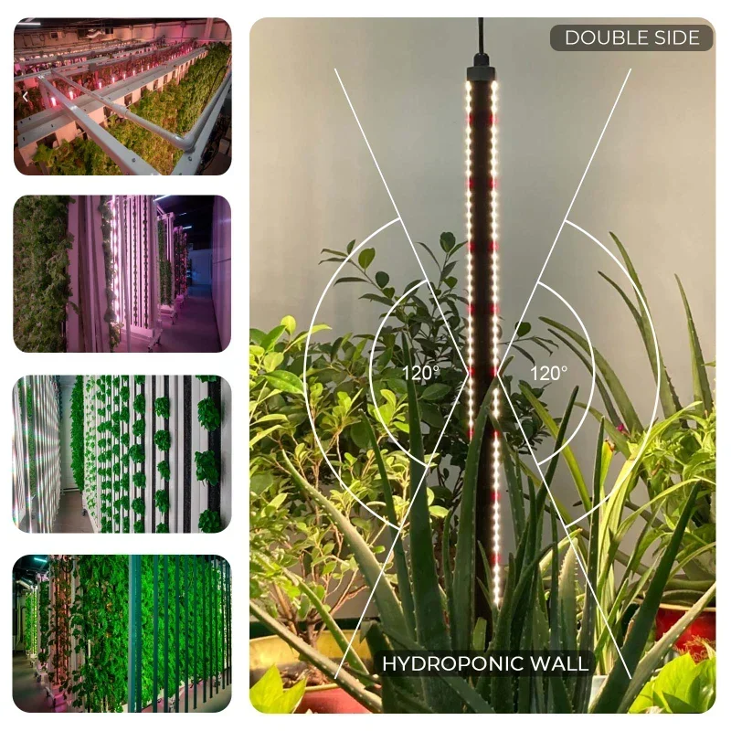 Luz LED de espectro completo p - Led Plant Light Strip reseña y precio