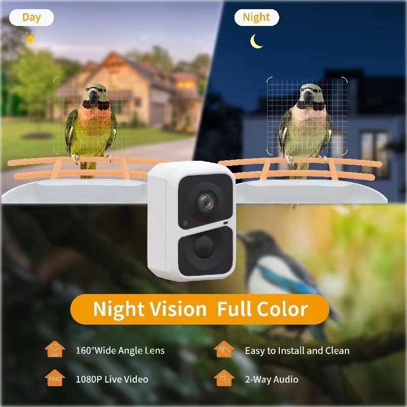 Cámara Inteligente para Comede - Smart Bird Feeder Camera reseña y precio