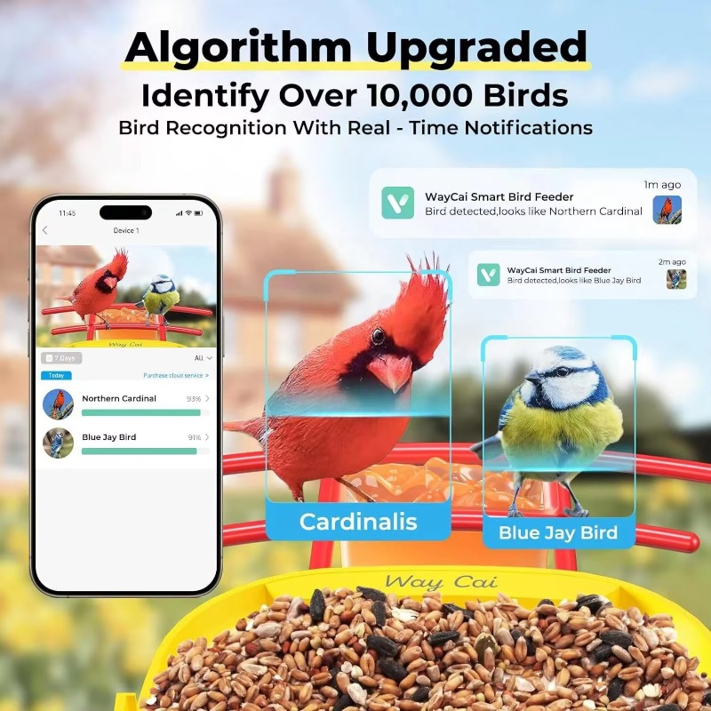 Cámara Inteligente para Comede - Smart Bird Feeder Camera reseña y precio