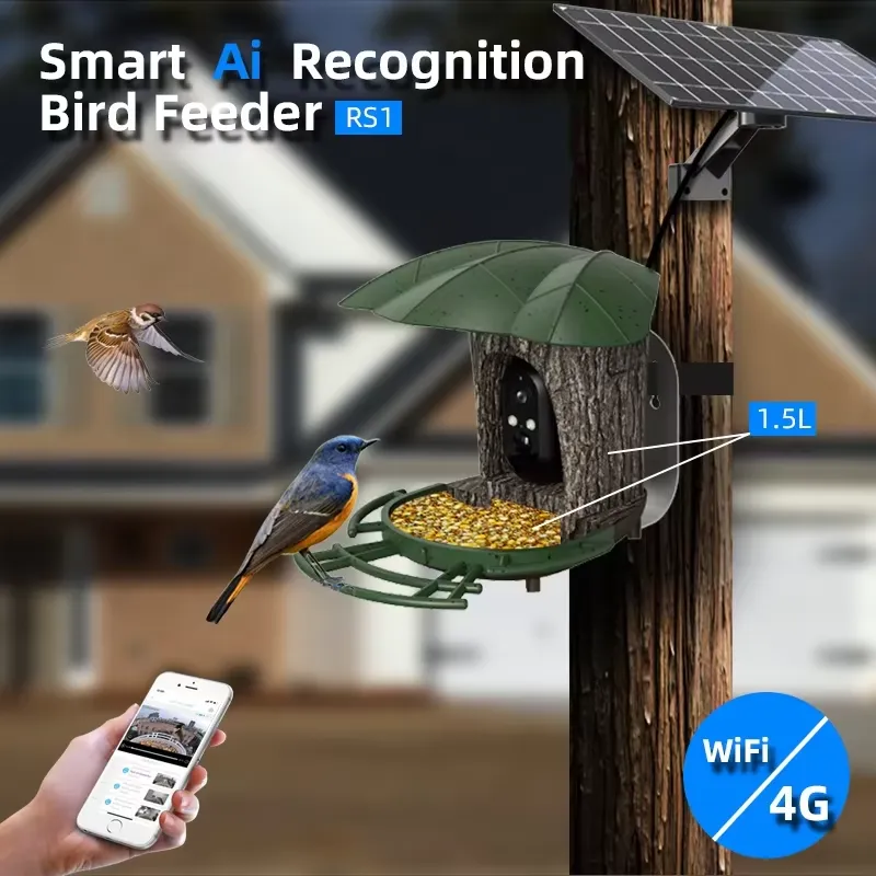 Comedero Inteligente para Pája - Smart Bird Feeder Camera reseña y precio