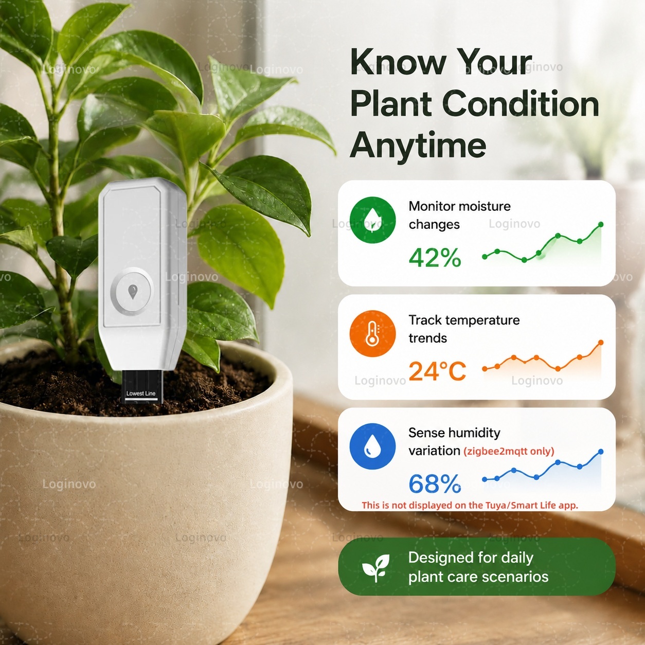 Sensor de suelo Zigbee, Detect - Smart Garden Home Assistant reseña y precio