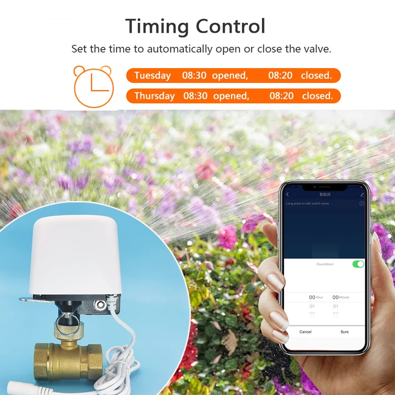 Válvula de agua Tuya Zigbee Wi - Smart Garden Home Assistant reseña y precio