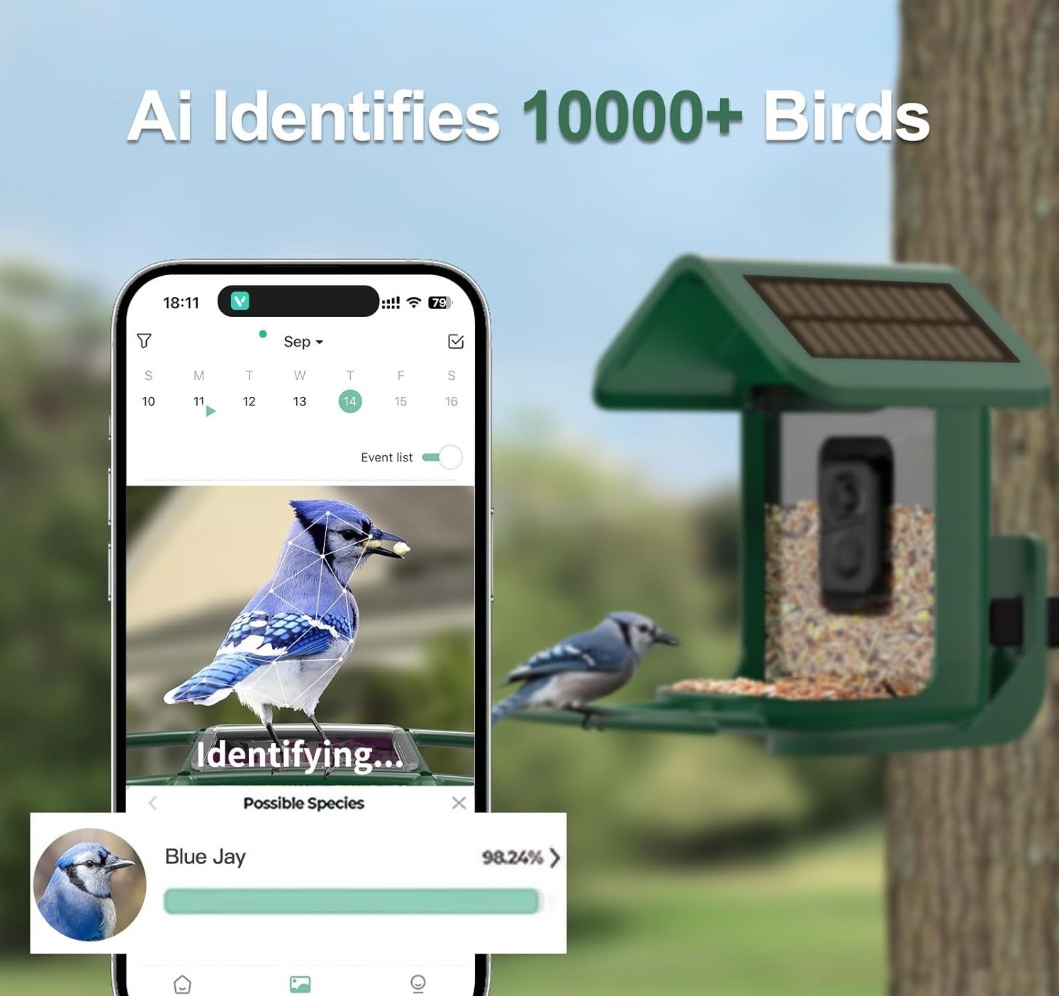 Comedero inteligente para pája - Smart Bird Feeder Camera reseña y precio