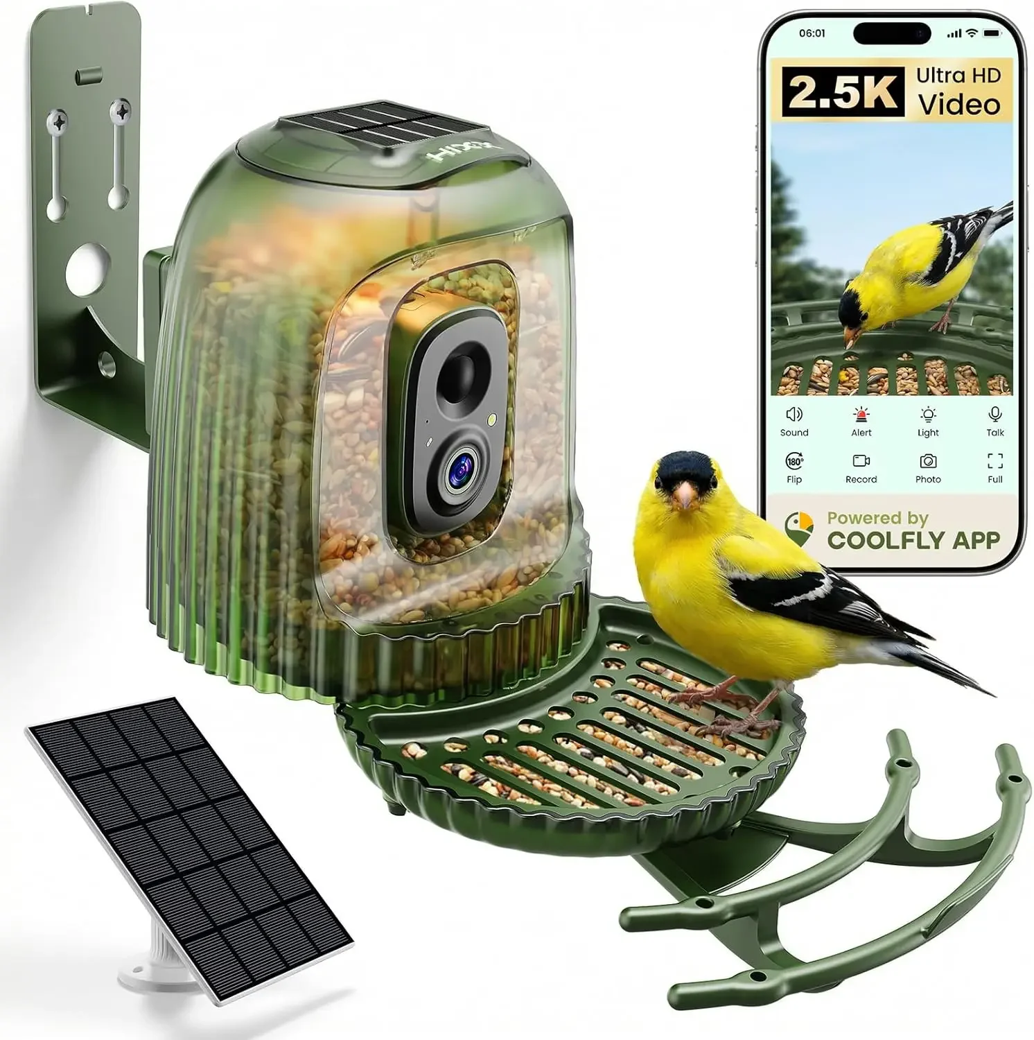 Comedero Inteligente para Pája - Smart Bird Feeder Camera reseña y precio