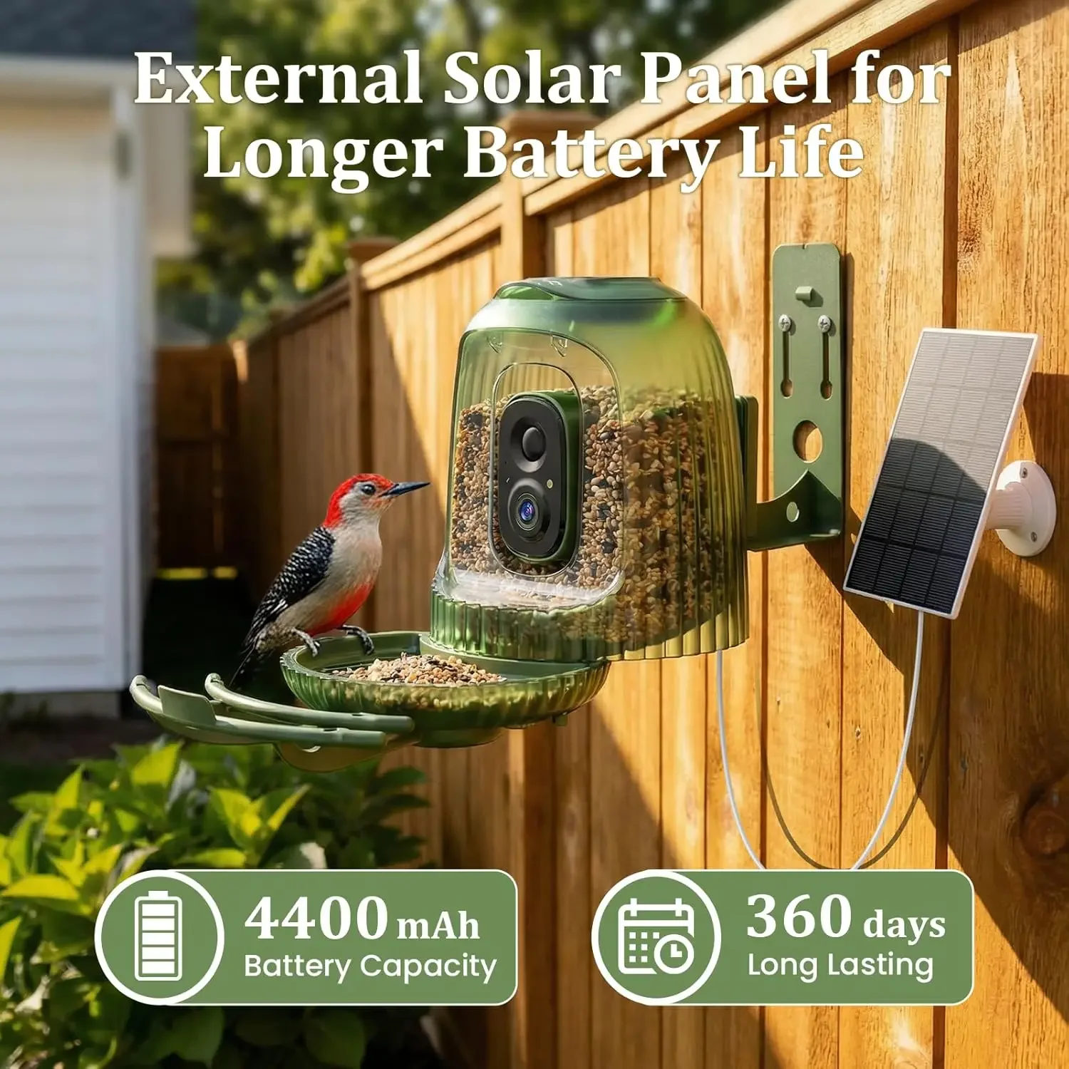 Comedero Inteligente para Pája - Smart Bird Feeder Camera reseña y precio
