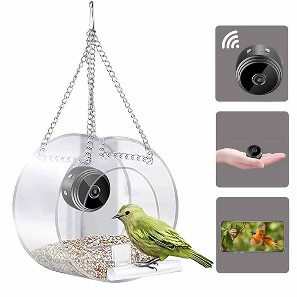 Comedero para pájaros con cáma - Smart Bird Feeder Camera reseña y precio