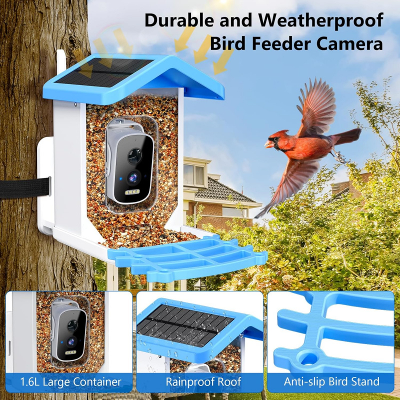 Comedero inteligente para pája - Smart Bird Feeder Camera reseña y precio