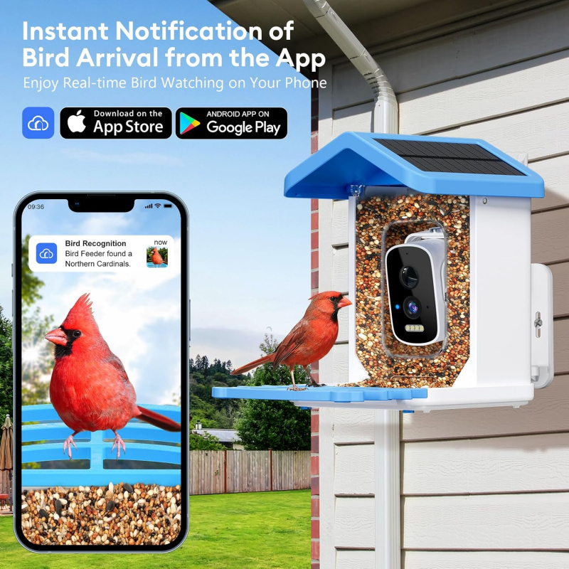 Comedero inteligente para pája - Smart Bird Feeder Camera reseña y precio