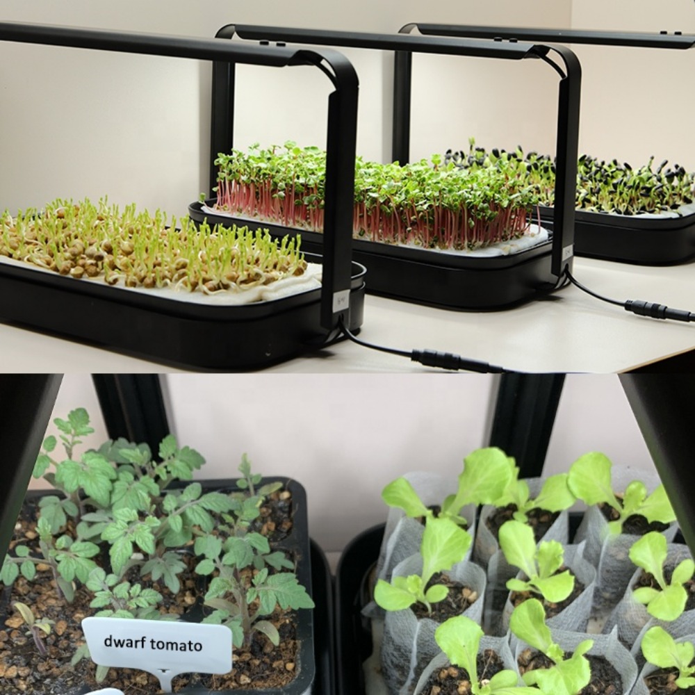 Sistemas de cultivo caseros pa - Smart Garden In Home reseña y precio