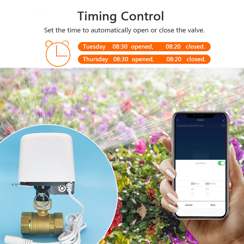 Válvula de agua Wifi Zigbee Tu - Smart Garden Home Assistant reseña y precio