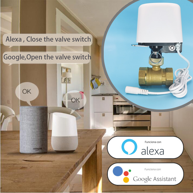 Válvula de agua Wifi Zigbee Tu - Smart Garden Home Assistant reseña y precio