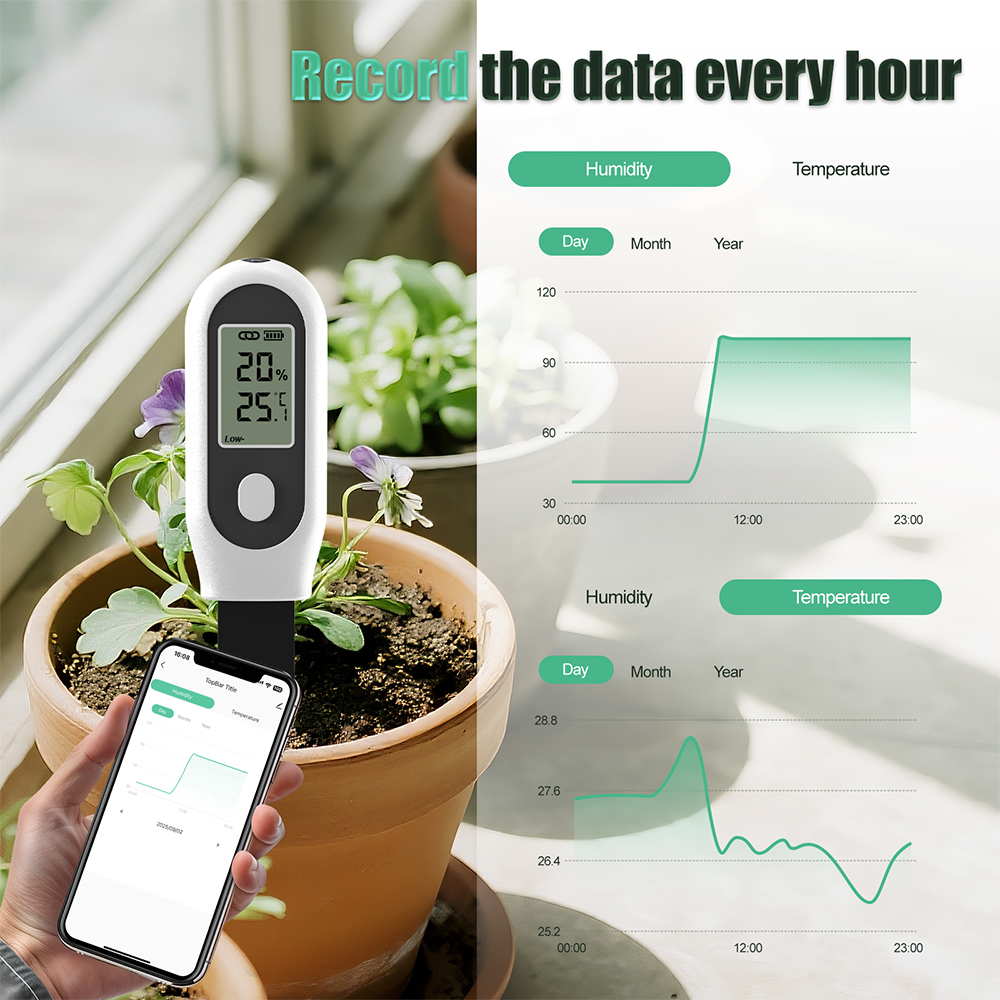 Tuya Zigbee-medidor de luz sol - Smart Garden Home Assistant reseña y precio