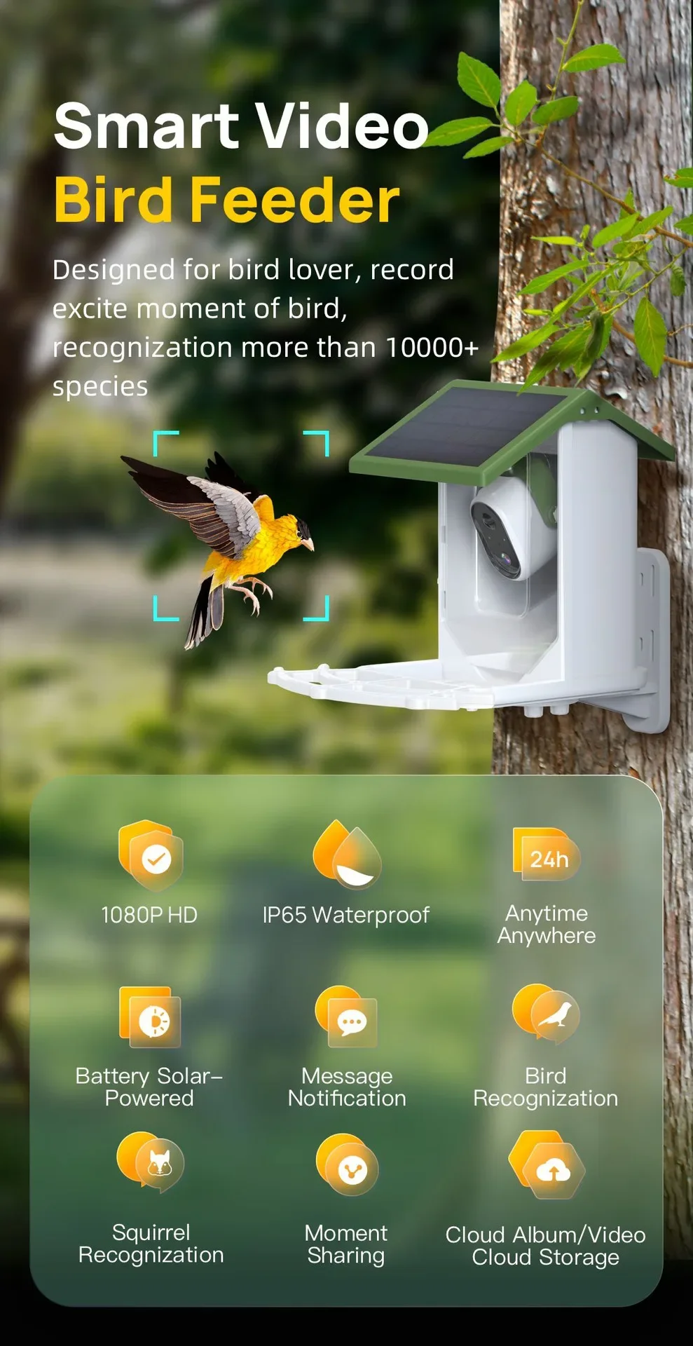 Comedero para pájaros silvestr - Smart Bird Feeder Camera reseña y precio